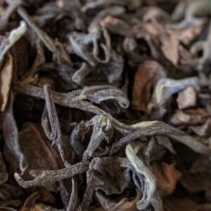 Thé Oolong (noir) « Lune de miel » | Grand cru Bio